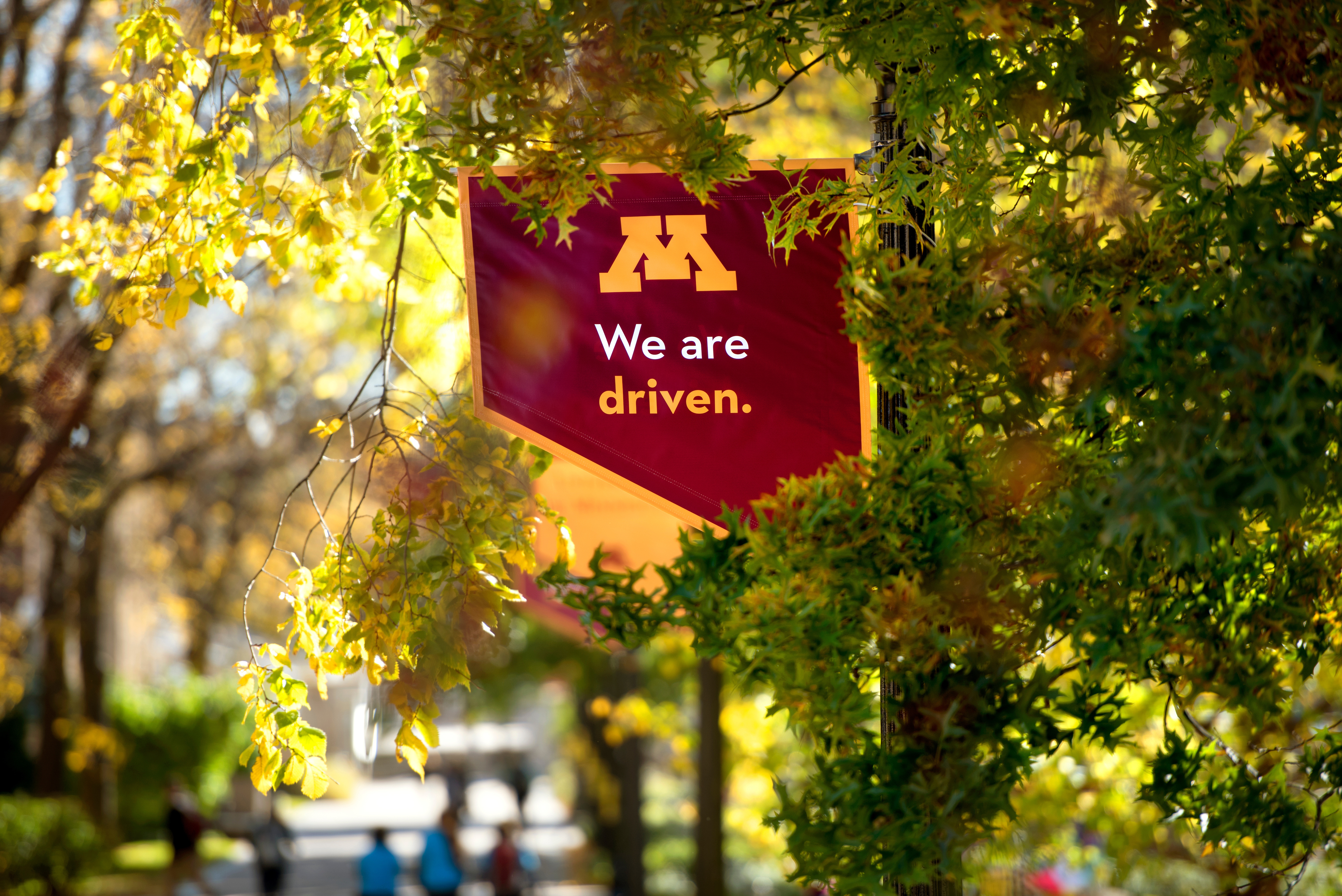 Banner along the Scholars Walk in Minneapolis Stating M, We are Driven.